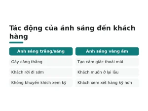 Tác động của ánh sáng đến khách hàng