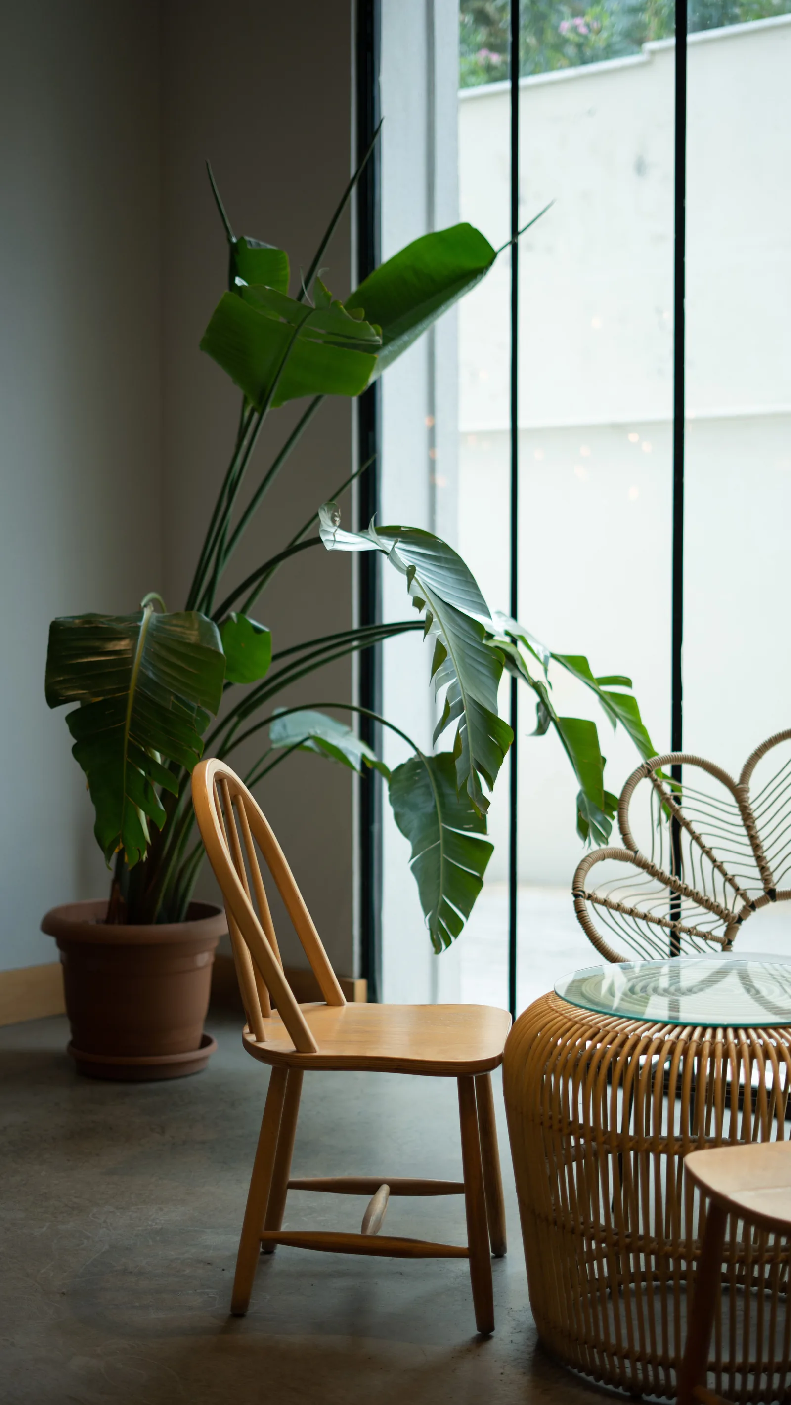 Thiết kế minimal cafe